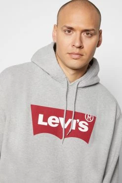 Levi's® Plus BIG GRAPHIC HOODIE Kapuzenpullover Mottled Grey Herren -Günstiges L'Oréal Paris Geschäft 1e13e372fafe4268bc0dd299fe8906c2