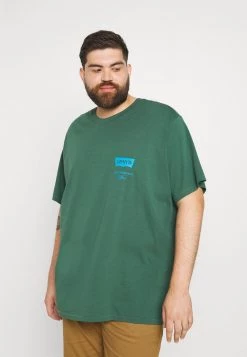 Levi's® Plus BIG GRAPHIC TEE T Shirt Print Pine Needle Herren