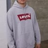 Levi's® Plus BIG GRAPHIC HOODIE Kapuzenpullover Mottled Grey Herren