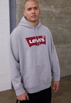 Levi's® Plus BIG GRAPHIC HOODIE Kapuzenpullover Mottled Grey Herren