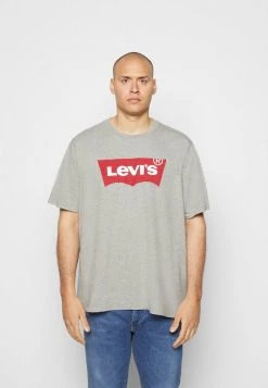 Levi's® Plus BIG GRAPHIC TEE T Shirt Print Graphic Midtone Grey Herren -Günstiges L'Oréal Paris Geschäft 3b2c1013792e4e18afc6daf6e2507a9f