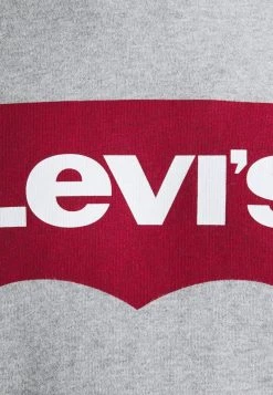 Levi's® Plus BIG GRAPHIC HOODIE Kapuzenpullover Mottled Grey Herren -Günstiges L'Oréal Paris Geschäft 49f599bf865a497291a301c3ab3a4923