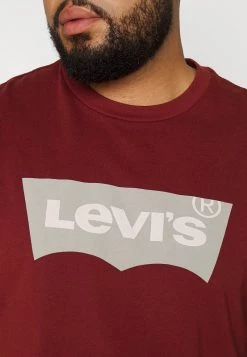 Levi's® Plus Herren BIG GRAPHIC TEE T Shirt Print Fired Brick -Günstiges L'Oréal Paris Geschäft 58c8a675f3fd4adba471935fd9772620