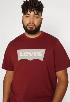 Levi's® Plus Herren BIG GRAPHIC TEE T Shirt Print Fired Brick -Günstiges L'Oréal Paris Geschäft 598fb4cf619d41f6b65cbde1c68e4712