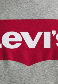 Levi's® Plus BIG GRAPHIC TEE T Shirt Print Graphic Midtone Grey Herren -Günstiges L'Oréal Paris Geschäft 67ea8484dd6b4e9ba0638a93a6173e31