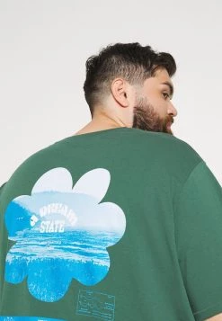 Levi's® Plus BIG GRAPHIC TEE T Shirt Print Pine Needle Herren -Günstiges L'Oréal Paris Geschäft 6b1efdf065584e4cb4ae65633d83d44f