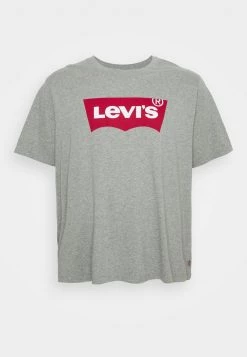 Levi's® Plus BIG GRAPHIC TEE T Shirt Print Graphic Midtone Grey Herren -Günstiges L'Oréal Paris Geschäft b9fd02f44c0c4175bad27d0afefdbb2d