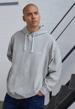 Levi's® Plus Herren BIG TAB HOODY Sweatshirt Light Mist Heather