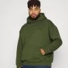Levi's® Plus BIG TAB HOODY Sweatshirt Mossy Green Herren -Günstiges L'Oréal Paris Geschäft f8deec8dfe21407e9eee8fceb34123f8